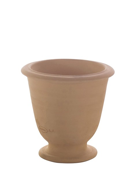 POT BASILIC