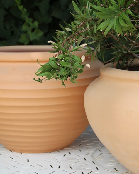 VASE PAPYRUS STRIE VASE PAPYRUS STRIE