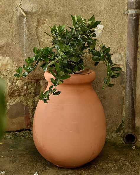 JARRE PROVENCALE JARRE PROVENCALE