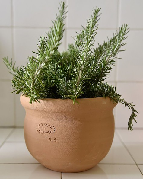 VASE JONQUILLE VASE JONQUILLE