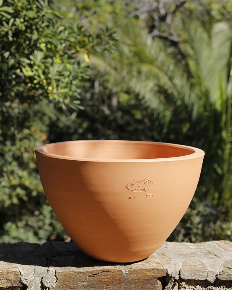 Pottery Arum