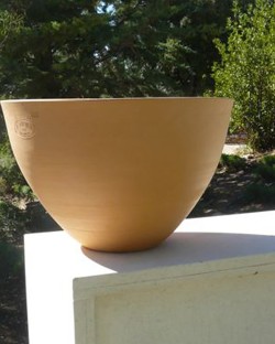 Pottery Arum