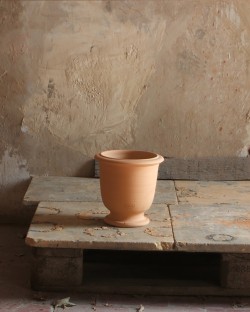 Pottery Basilic