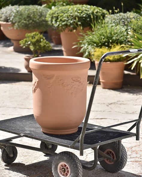 VASE BUIS GUIRLANDE VASE BUIS GUIRLANDE