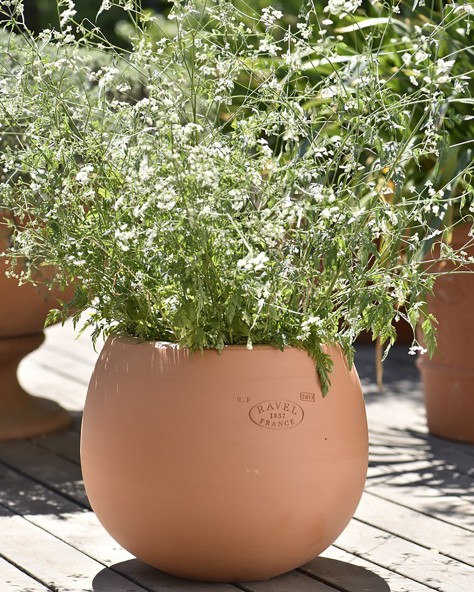 VASE COSMOS VASE COSMOS