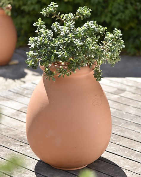 Pottery Provencal Jar