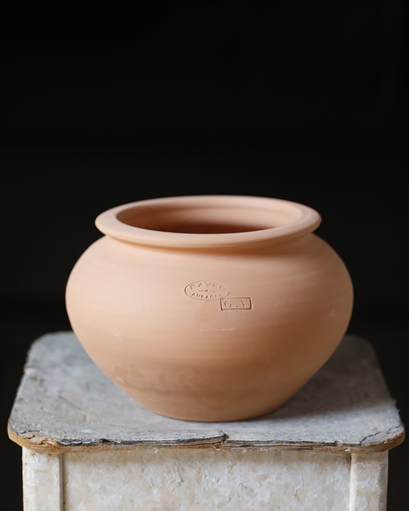 Pottery Papyrus Lisse