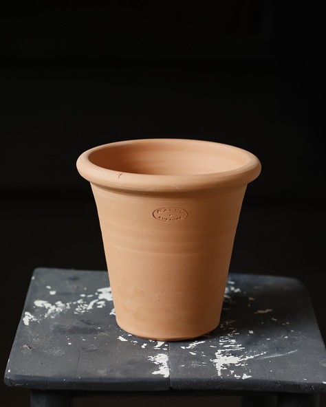 Pottery Vio