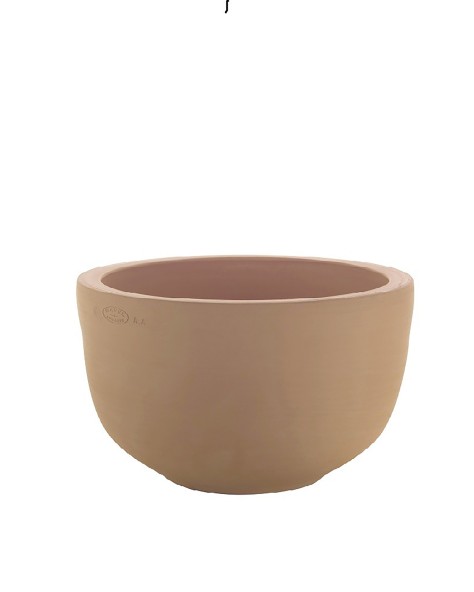 VASE JACINTHE