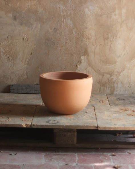 VASE JACINTHE