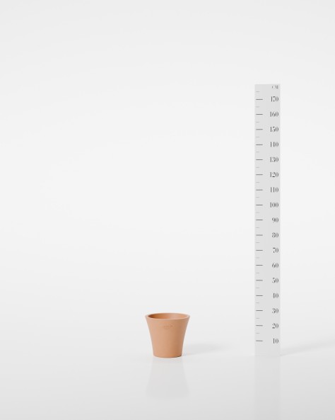 VASE ALOES