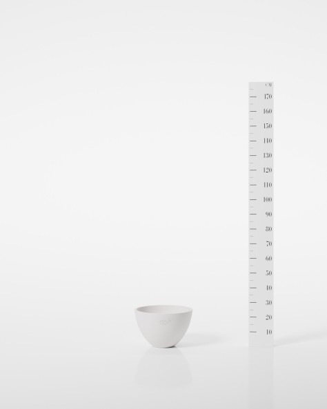 VASE ARUM VASE ARUM