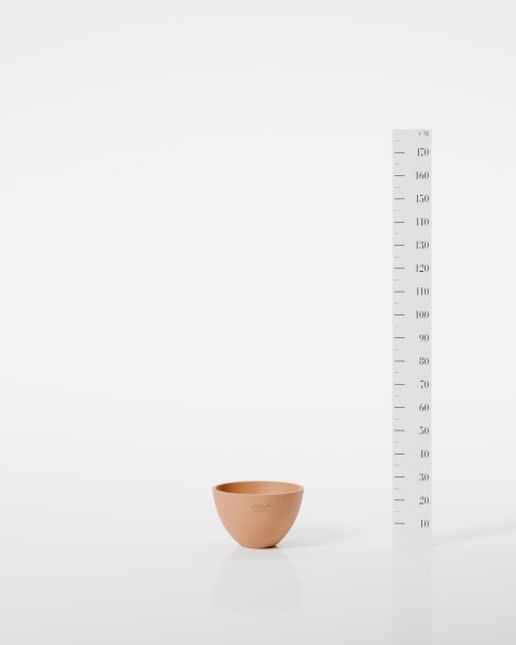 VASE ARUM VASE ARUM