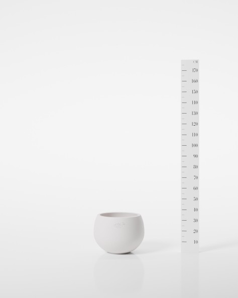 VASE COSMOS VASE COSMOS