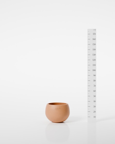 VASE COSMOS VASE COSMOS