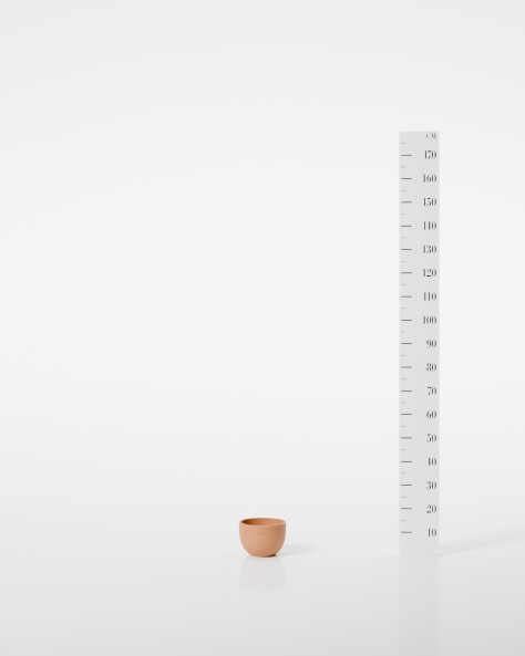 VASE JACINTHE