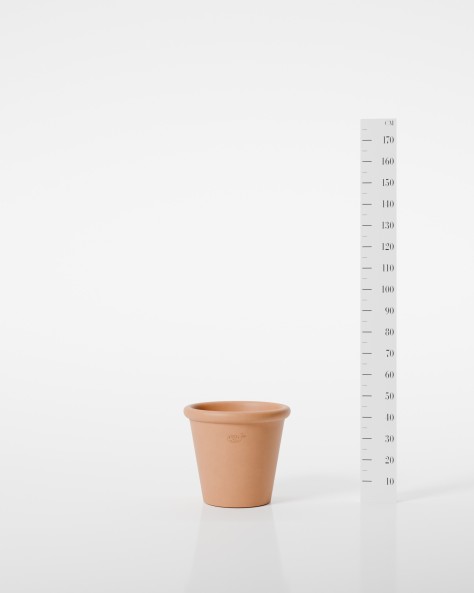 VASE JASMIN VASE JASMIN