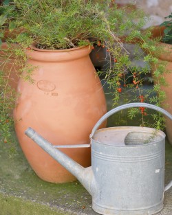 Pottery Xvi Century Jar