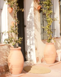 Pottery Xvi Century Jar