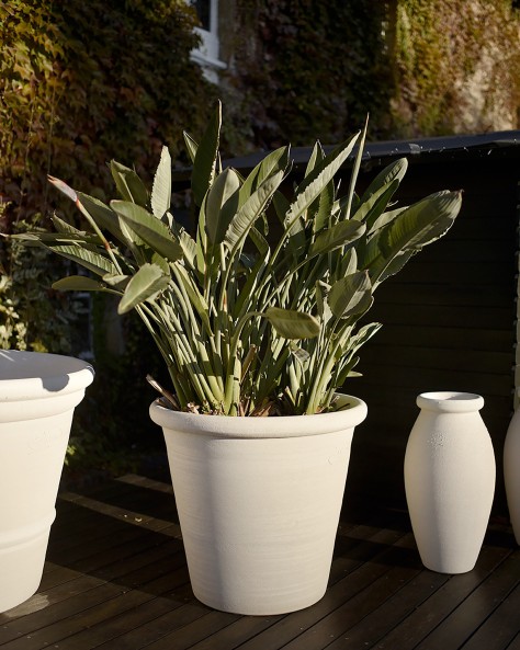 VASE JASMIN VASE JASMIN