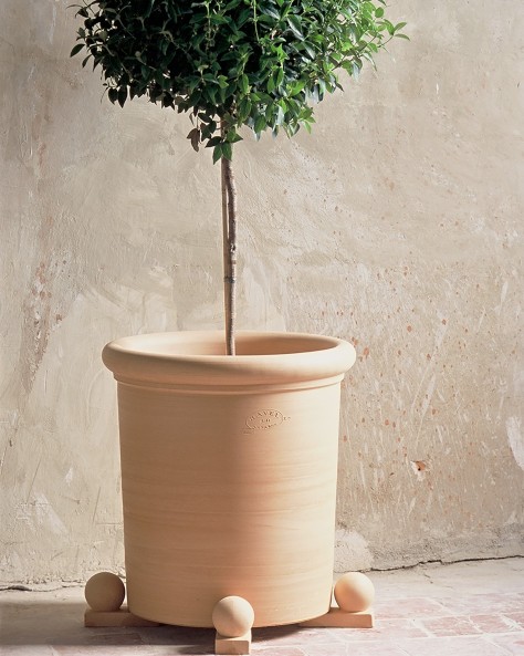 VASE LAURIER VASE LAURIER