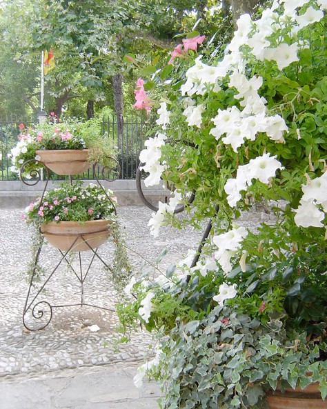 VASQUE PETUNIA VASQUE PETUNIA