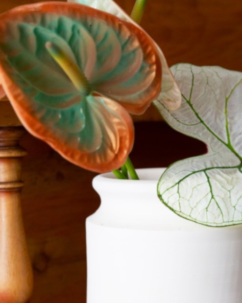 Les Vases À Bouquet Les Vases À Bouquet