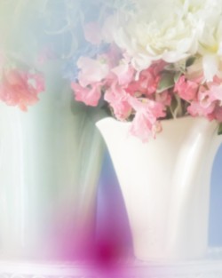 Les Vases À Bouquet